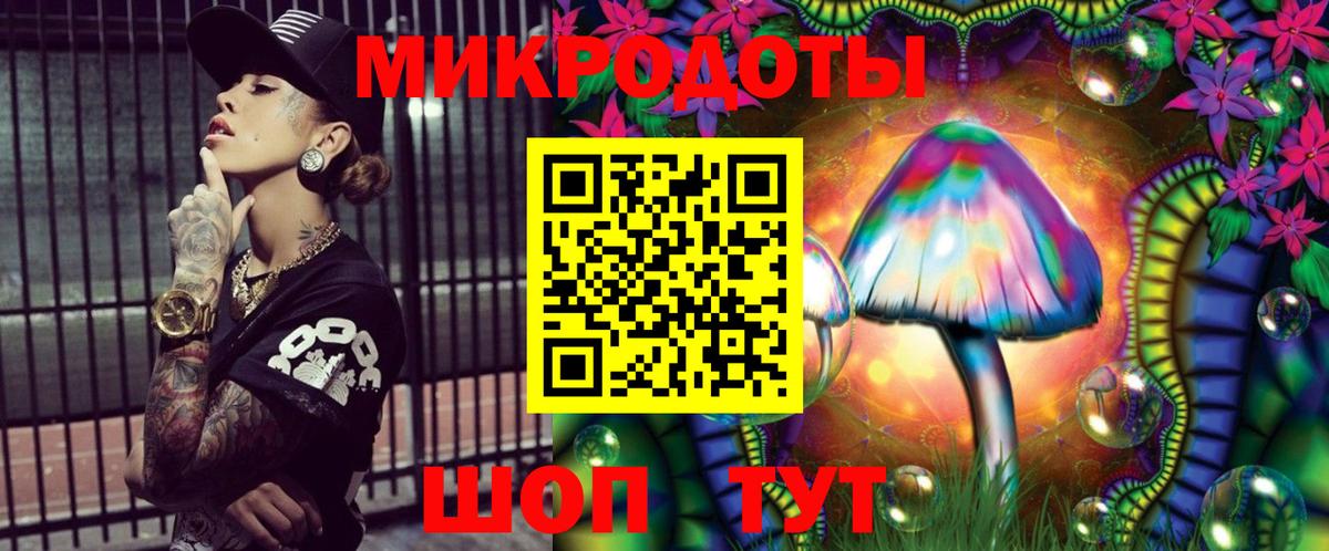 Псилоцибиновые грибы Psilocybine cubensis Гусиноозёрск