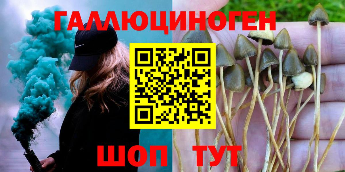 Гусиноозёрск  купить наркотики цена  Вход с VPN  Галлюциногенные грибы прущие грибы 